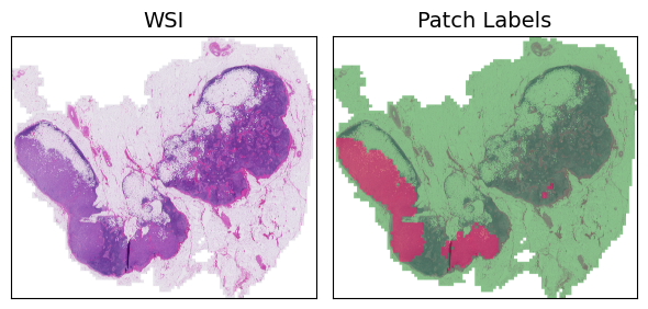 <Figure size 600x600 with 2 Axes>
