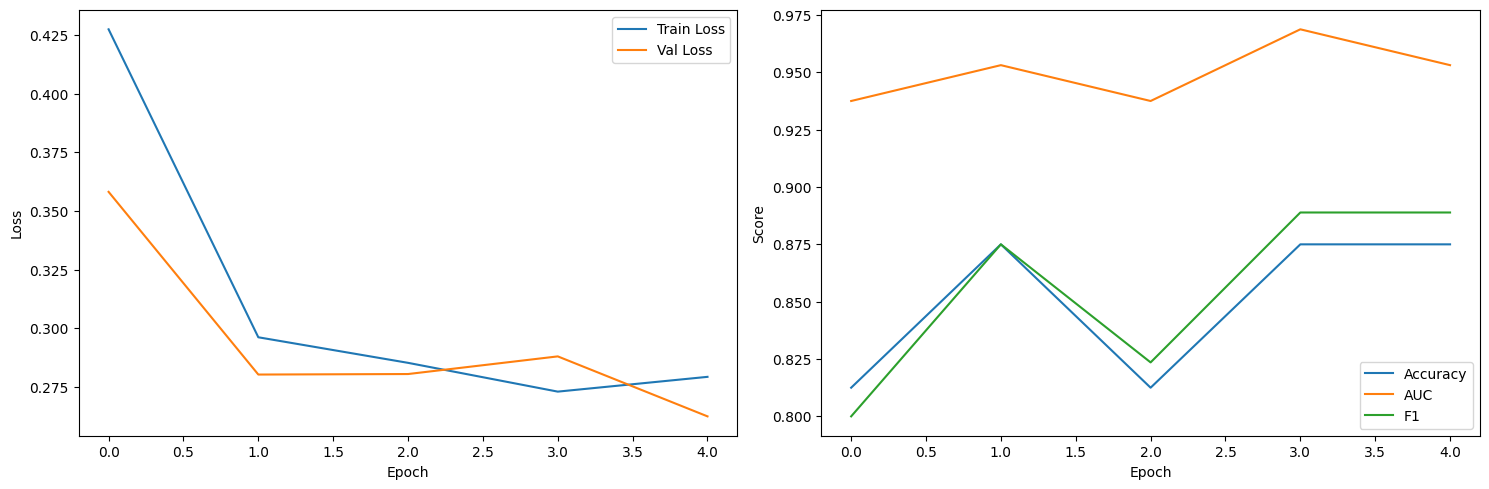 <Figure size 1500x500 with 2 Axes>