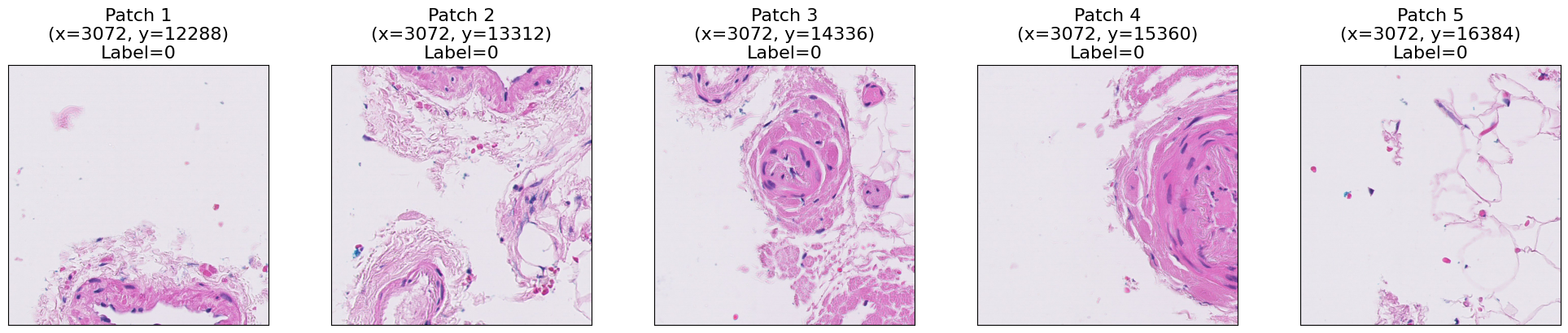 <Figure size 2000x400 with 5 Axes>