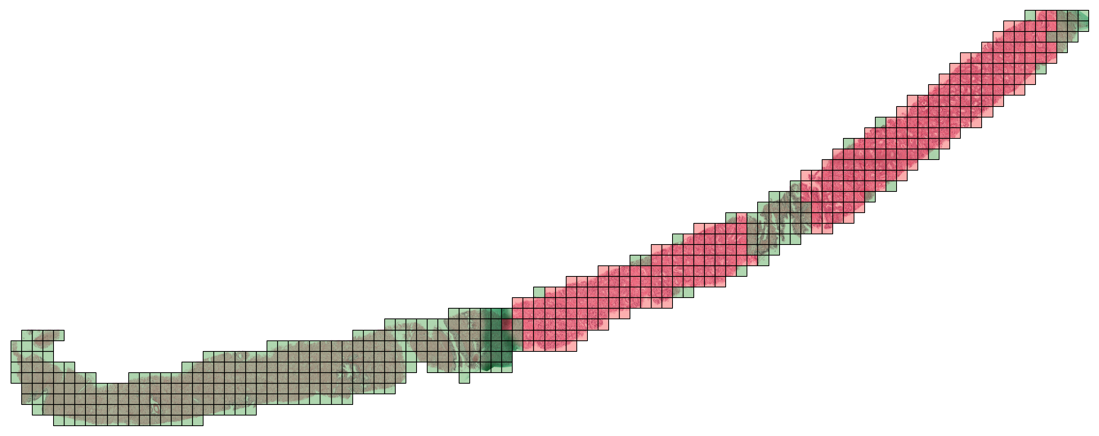 WSI with patch labels.